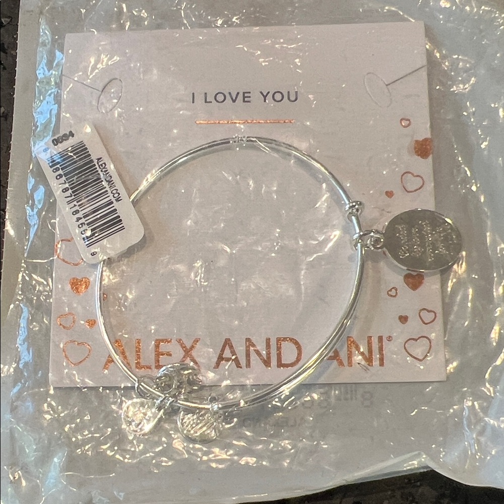 Alex and Ani Silver Charm Bangle